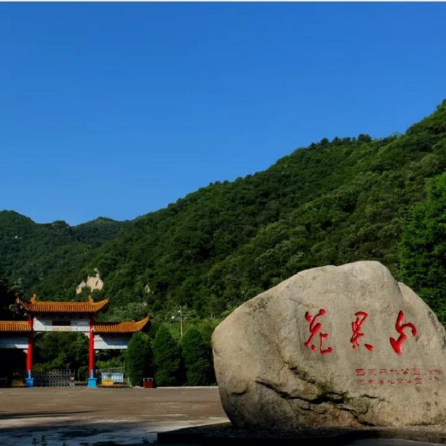 “市”外有桃園，宜陽花果山，遛娃首選點