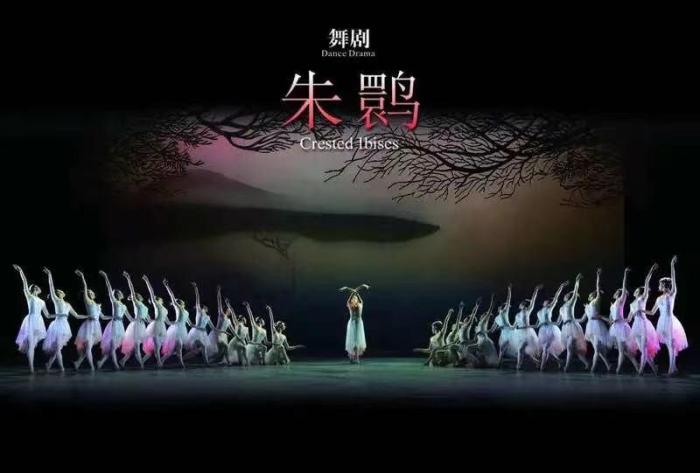 現象級舞劇如何產生？上海歌舞團團長：對創排是“慎之又慎，精益求精”