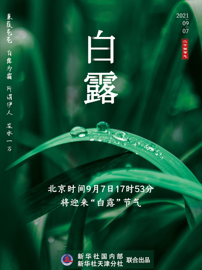 9月7日17時53分“白露”：露從今夜白，夜自此日涼
