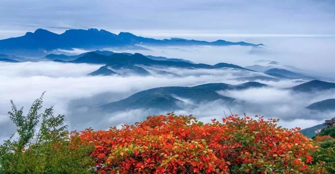 當秋日暖陽遇上爛漫紅葉，嵩山美得像畫！