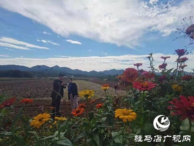 駐馬店市驛城區蟻蜂鎮：山青水秀美如畫
