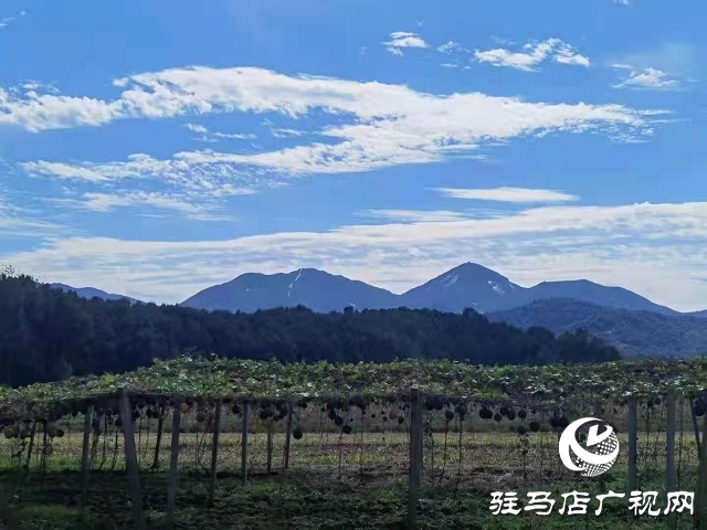 駐馬店市驛城區蟻蜂鎮：山青水秀美如畫