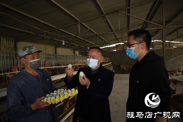 駐馬店驛城區：多產穩增收 拓展致富路