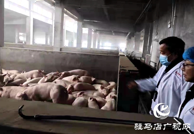 確山縣農業綜合行政執法大隊嚴把生鮮市場檢疫關