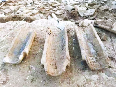 漢魏洛陽故城考古取得新發現 確認宮城顯陽殿等遺址位置