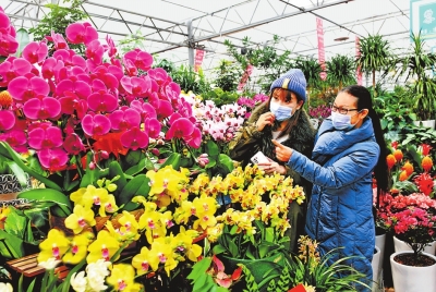 全省春節市場供應貨足價穩