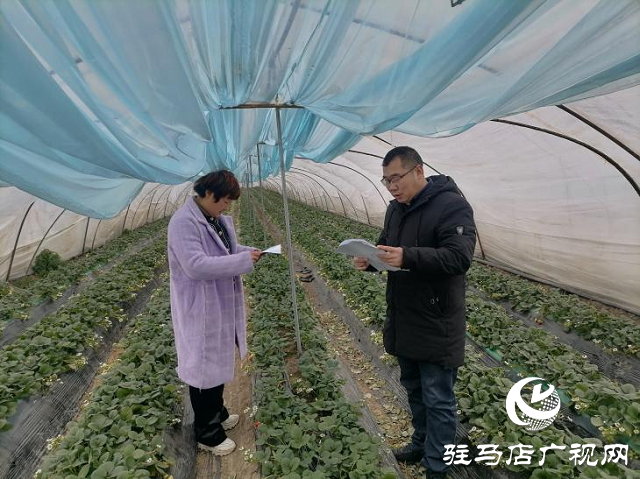 新蔡縣化莊鄉扎實做好低溫和雨雪災害防范應對工作