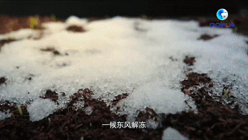 二十四節氣：北京冬奧會上的“中國式浪漫”