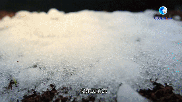 全球連線丨二十四節氣由何而來？中國最古老天文遺跡告訴你