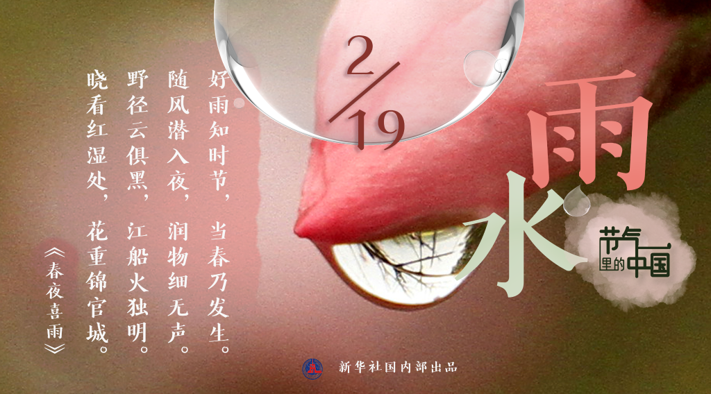 節氣里的中國丨雨水日：拂水驚梅中迎來春天