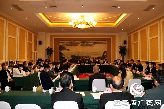 市政協四屆八次會議分組討論