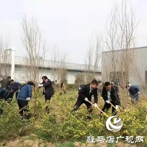 駐馬店弘康環保公司舉行植樹活動