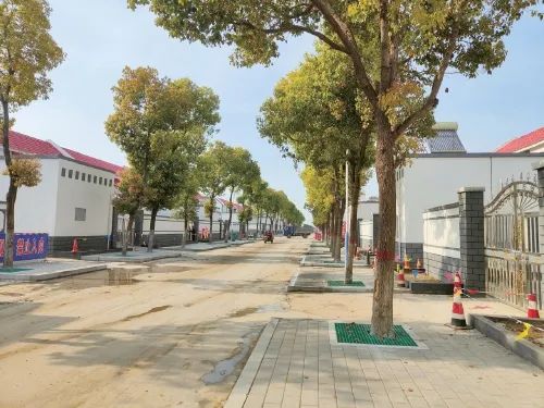 河南鄒莊村：村莊處處新 生活節節高