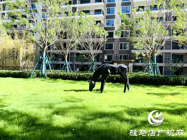 實名羨慕，社區超硬核！住在這里的人真幸福
