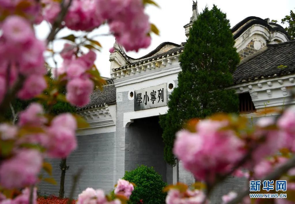 金榜題名·豫坡醬意濃香紅色教育研學之旅啟動！報名開始了…