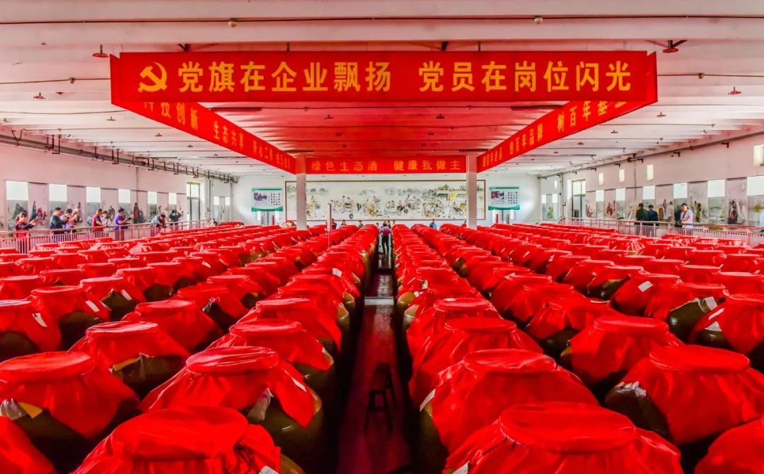 金榜題名·豫坡醬意濃香紅色教育研學之旅啟動！報名開始了…