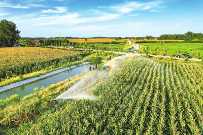 河南：田間地頭灌溉忙