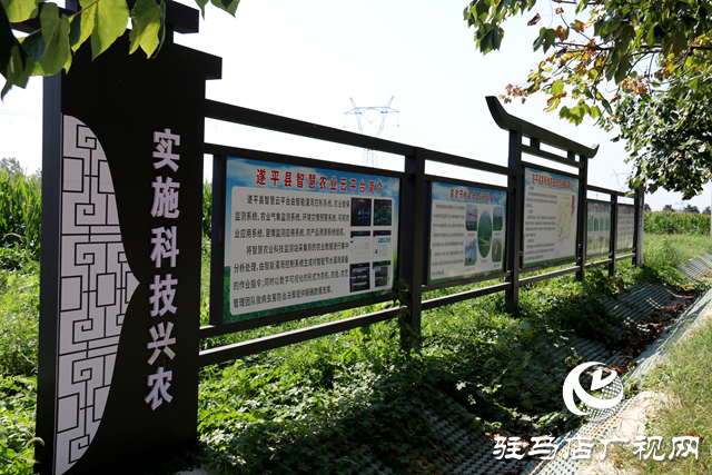 遂平縣：立足新發展 構建新格局 經濟社會發展成效斐然