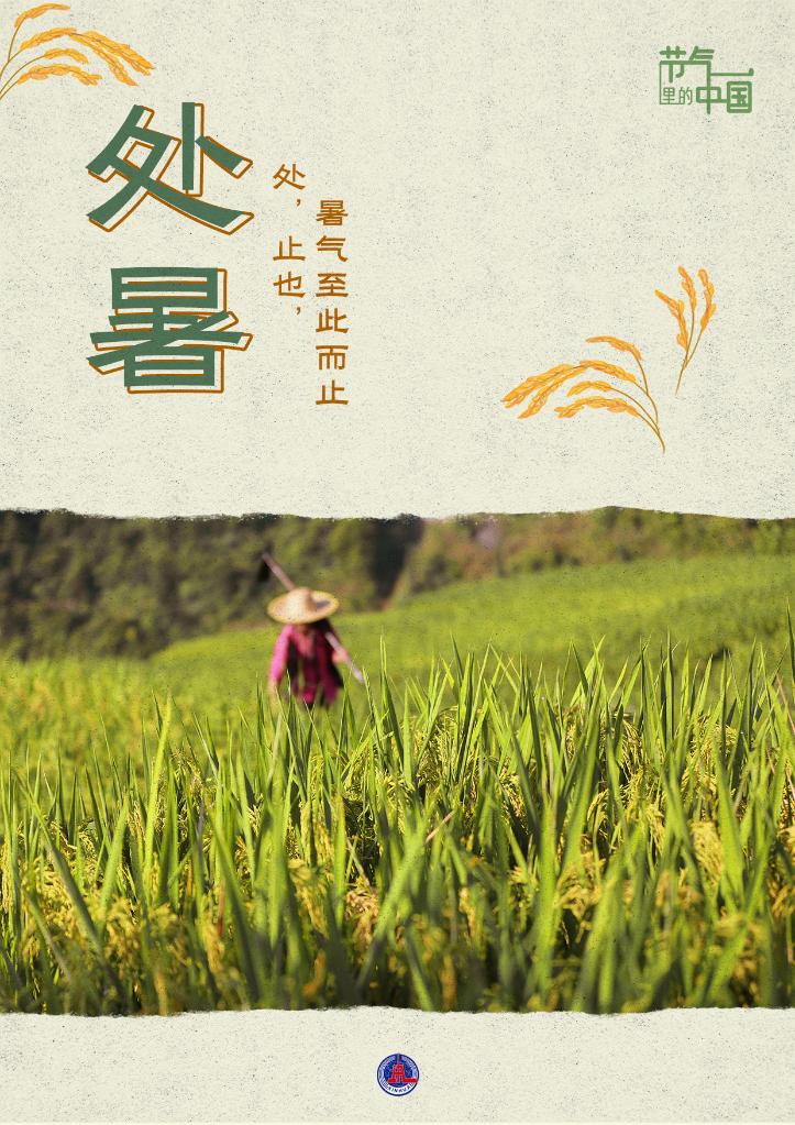 節氣里的中國丨處暑：最好新秋時