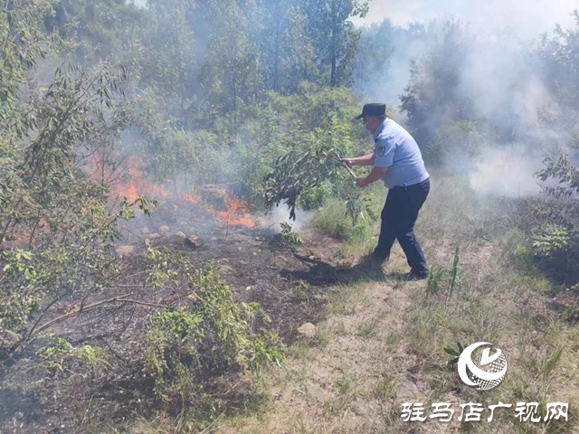 泌陽民警秒變“消防衛士”火速處置一起山火險情