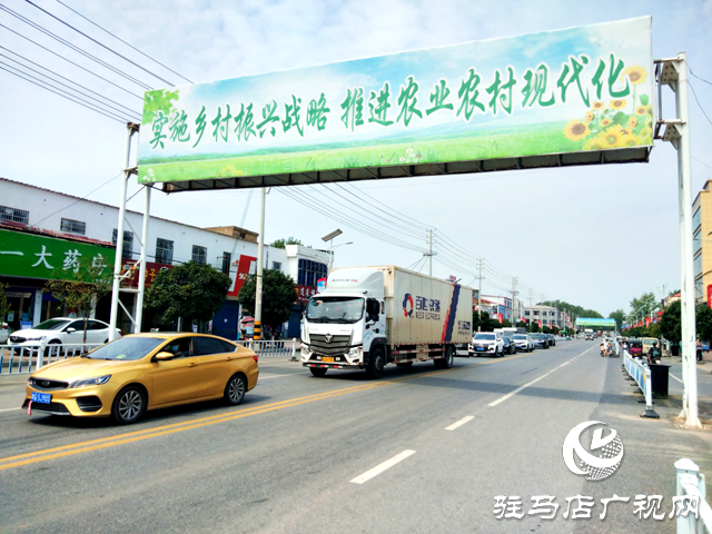 上蔡縣大路李鄉：實施“黨建+”助力行動 推進農村人居環境整治