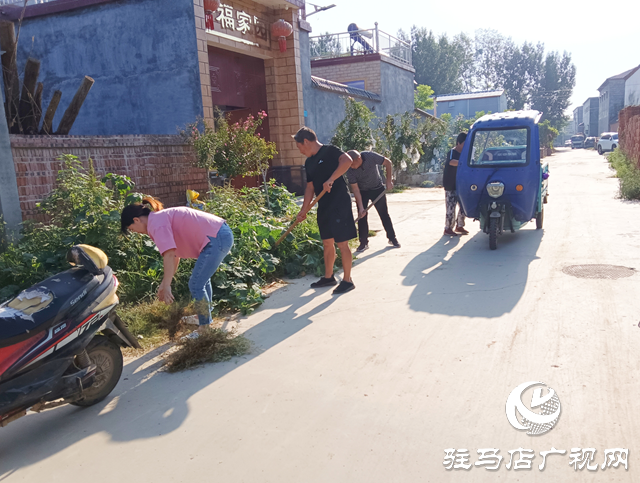 上蔡縣大路李鄉：實施“黨建+”助力行動 推進農村人居環境整治