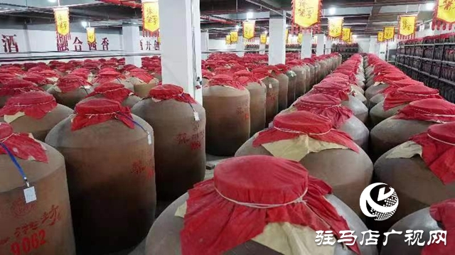 新蔡縣：走過非凡十年 綜合實力和發展質量邁上新臺階