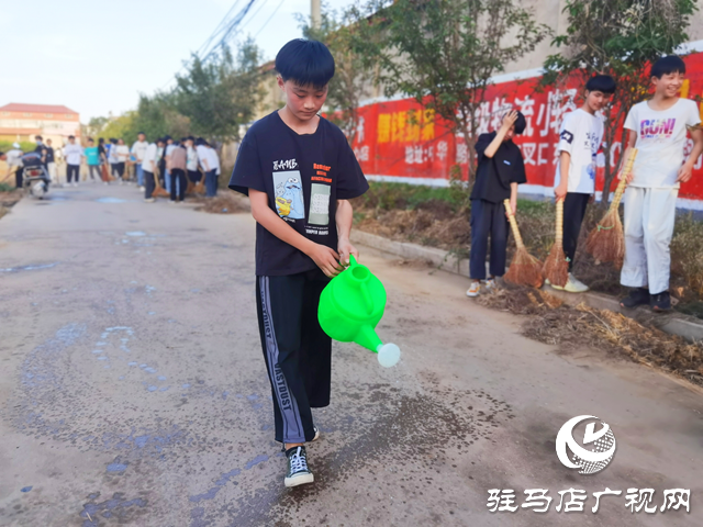 上蔡縣大路李鄉：實施“黨建+”助力行動 推進農村人居環境整治
