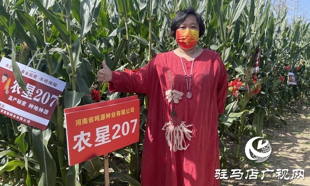 農星207觀摩會：“金種子”引起種糧大戶圍觀