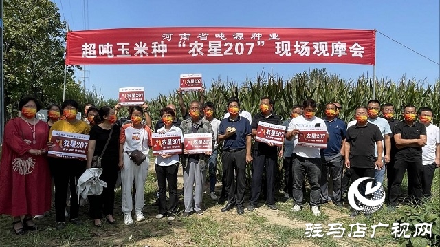 農星207觀摩會：“金種子”引起種糧大戶圍觀