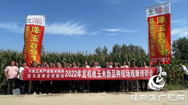 六豐農業：澤玉8911玉米新品種觀摩會成功召開