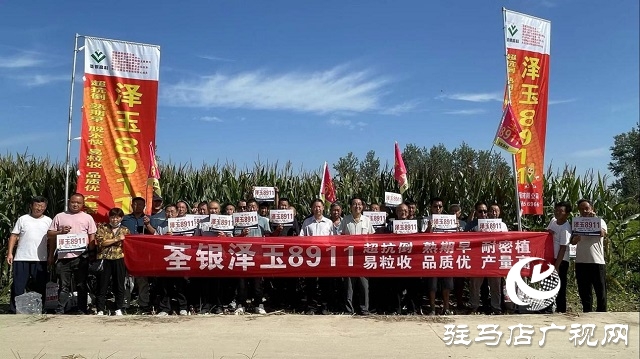 六豐農業：澤玉8911玉米新品種觀摩會成功召開