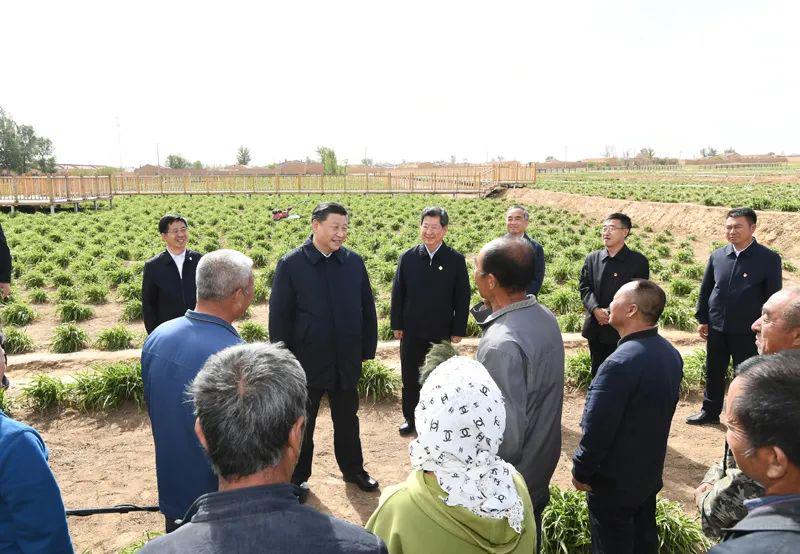 跟著總書記看中國‖小黃花 大產業