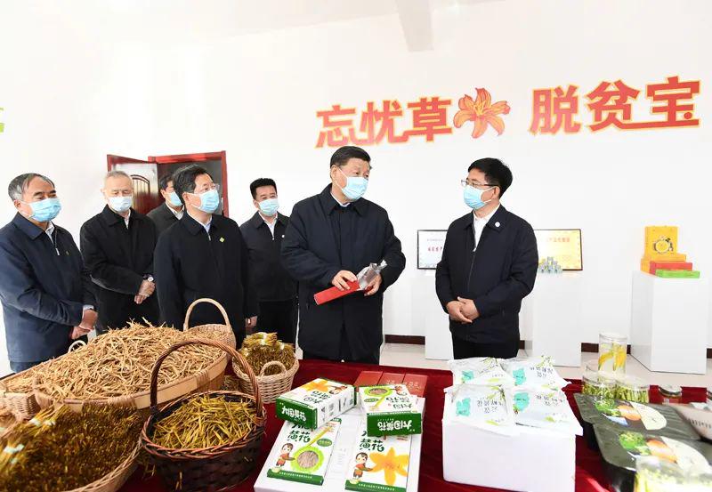 跟著總書記看中國‖小黃花 大產業