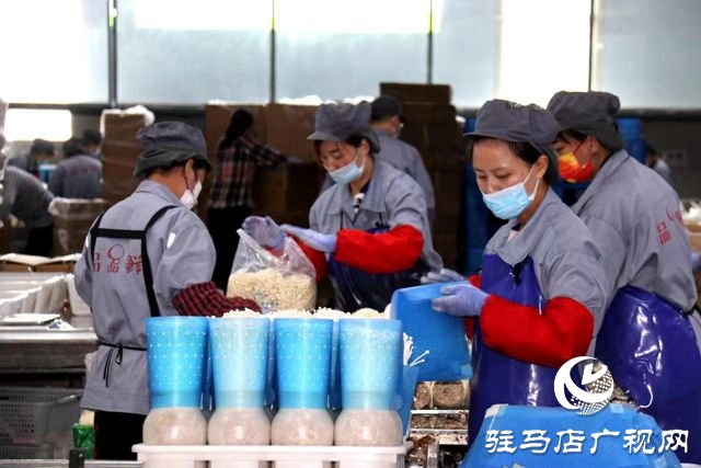 泌陽縣：踔厲奮發 篤行不怠 奮力譜寫現代化建設新篇章