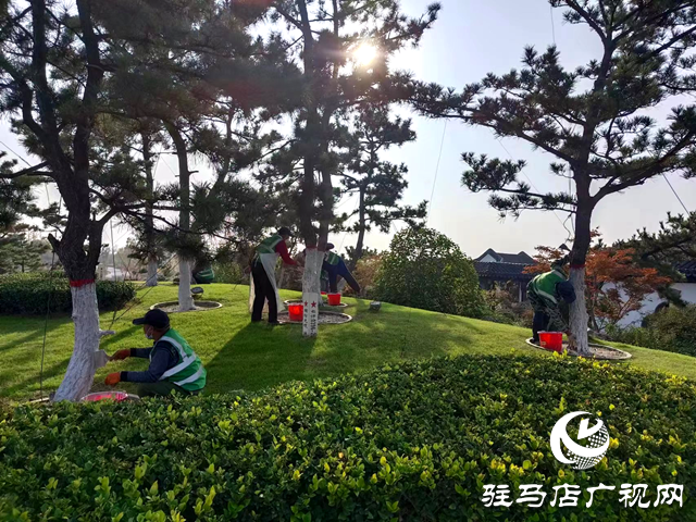 綠化養護靚風景 樹木涂白換新裝
