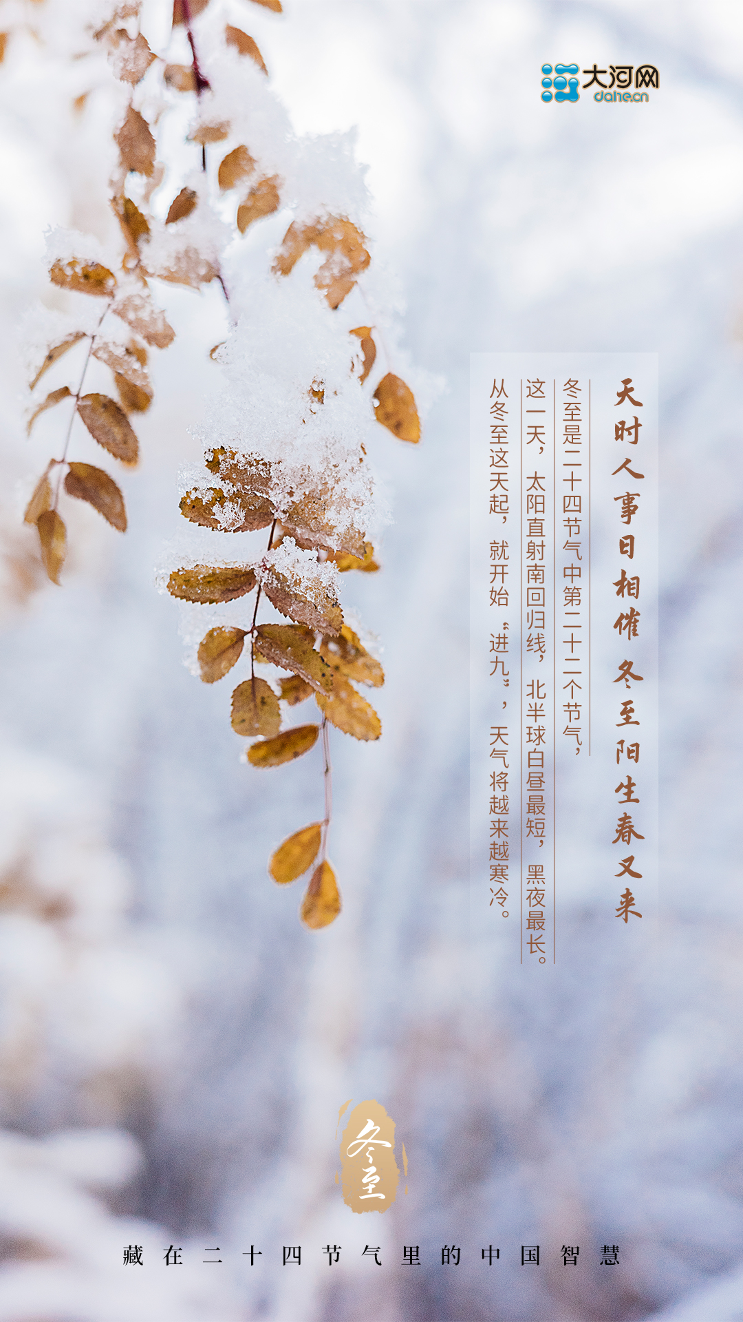 今日冬至丨數著九九歌 提前迎春