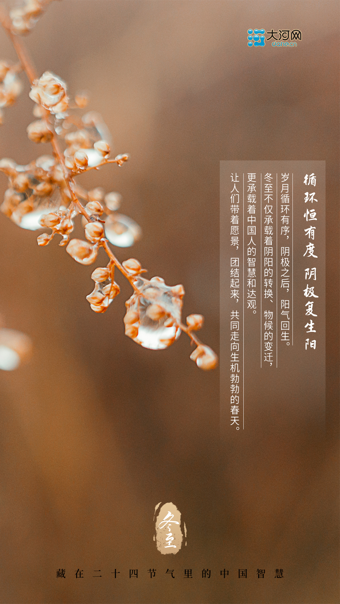 今日冬至丨數著九九歌 提前迎春