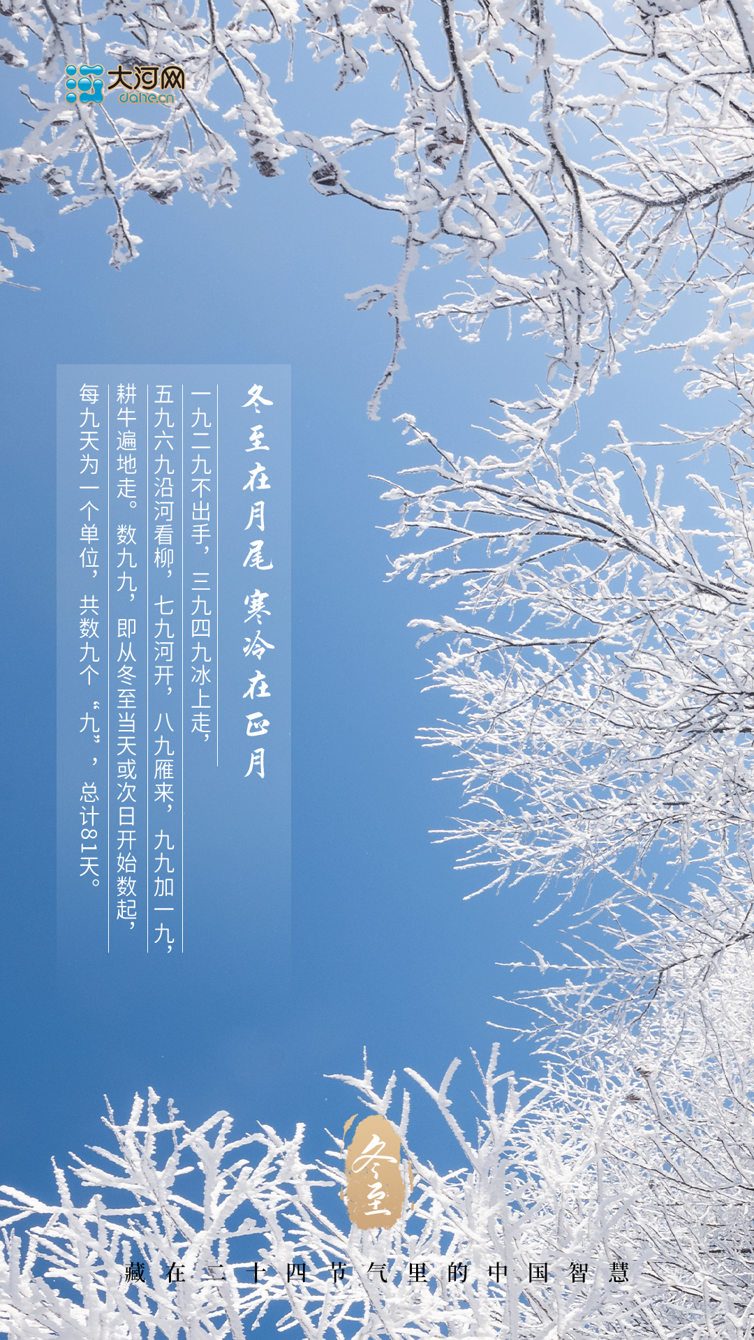 今日冬至丨數著九九歌 提前迎春