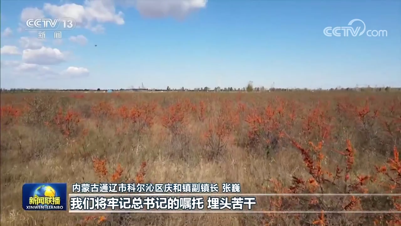 用奮斗創造新的奇跡——習近平主席新年賀詞在全國各地引發強烈反響