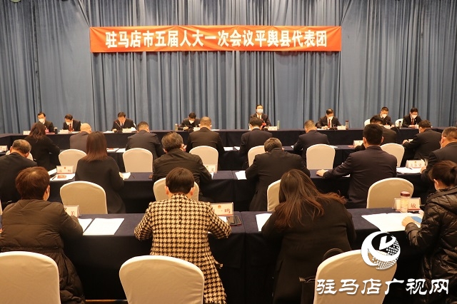 兩會時間｜駐馬店市人大代表分團審議 政府工作報告審查計劃報告、 預算報告和草案