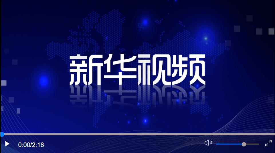 習近平同捷克總統澤曼舉行視頻會晤