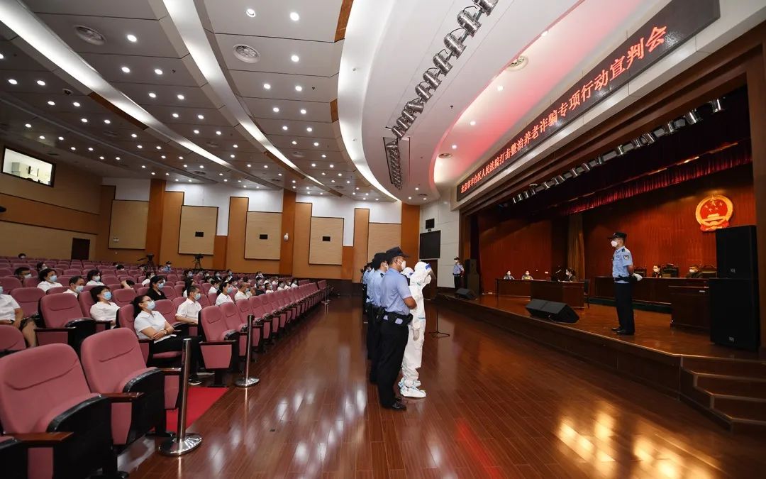 法院報告中的這些“名詞”，全國優秀法官和辦案標兵為您解讀