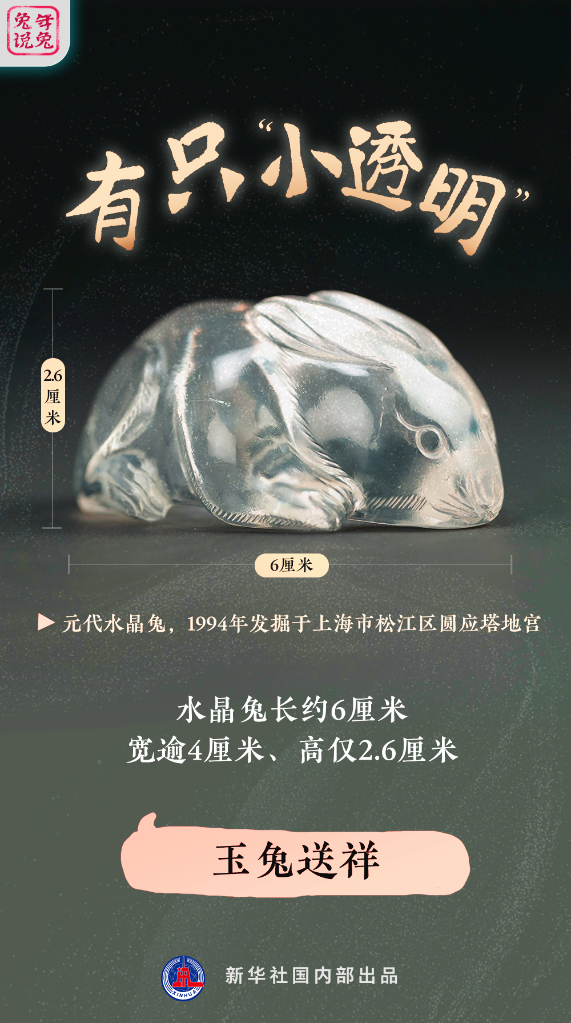 新年“兔”點啥？跨越時空，兔子們發來祝福！