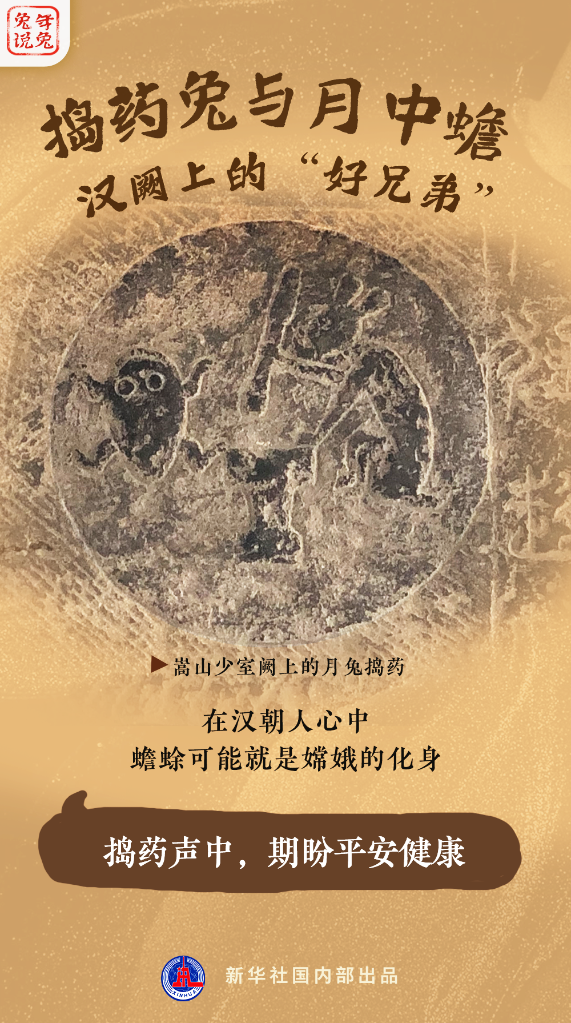 新年“兔”點啥？跨越時空，兔子們發來祝福！