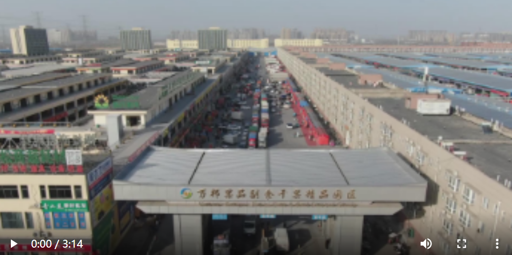 【“兔”飛猛進中國年】春·卯丨農批市場飄出“幸福年味”