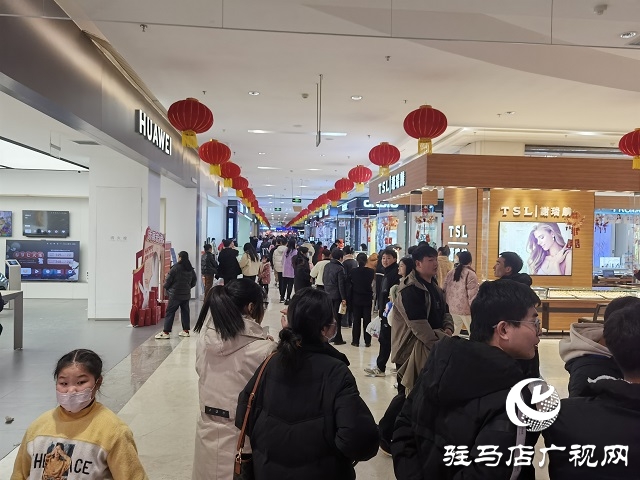 駐馬店：春節假期商場人氣旺