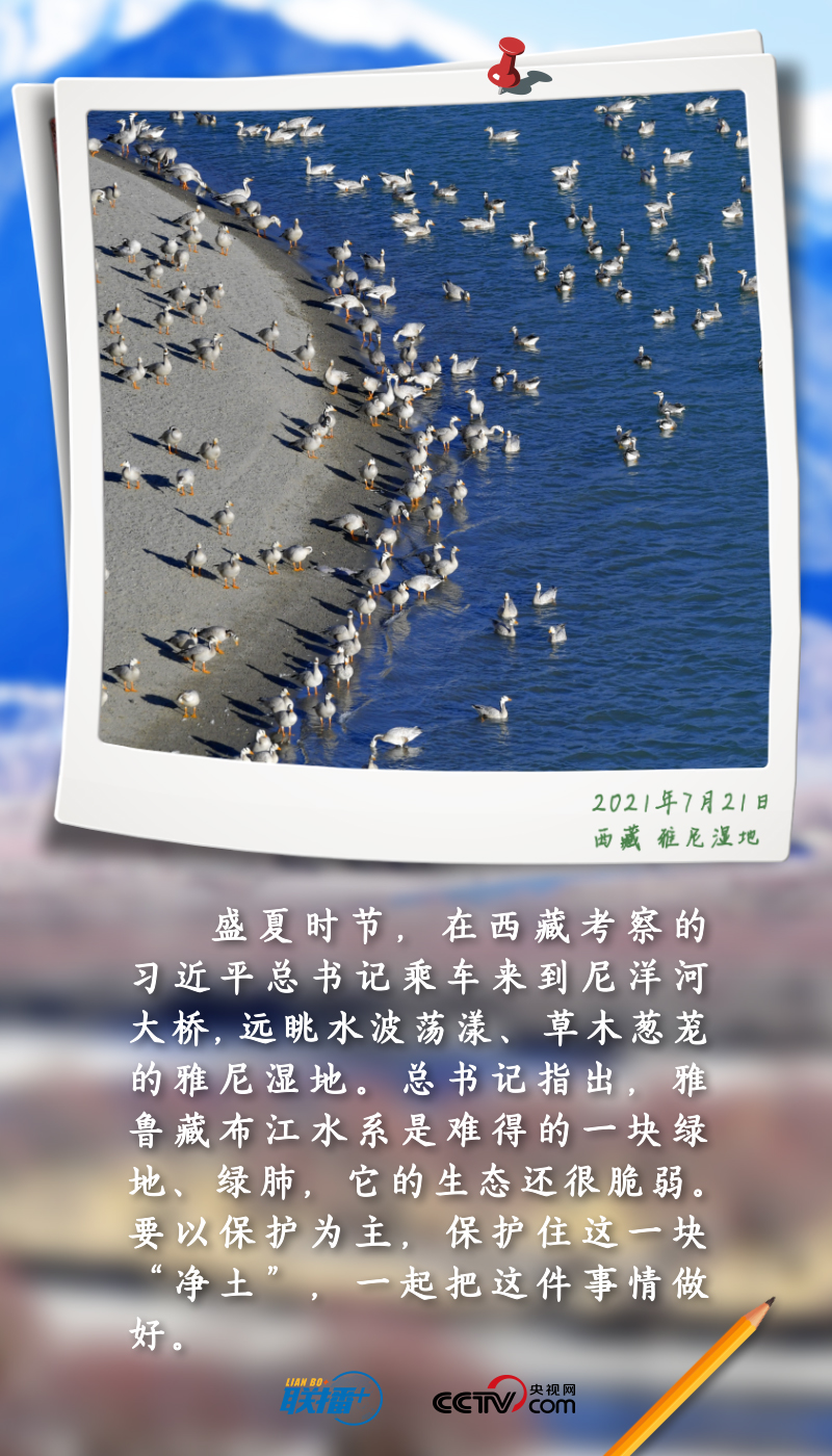 聯播+丨跟著總書記守護“地球之腎”