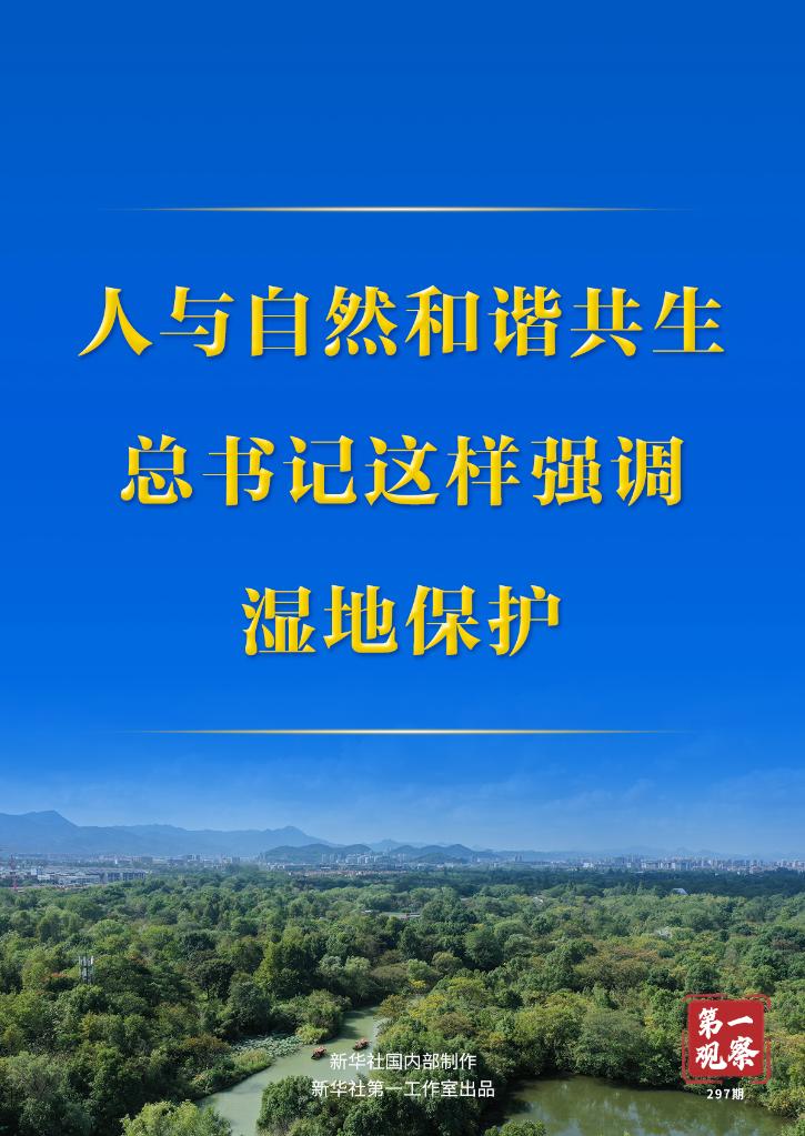 第一觀察丨人與自然和諧共生，總書記這樣強調濕地保護
