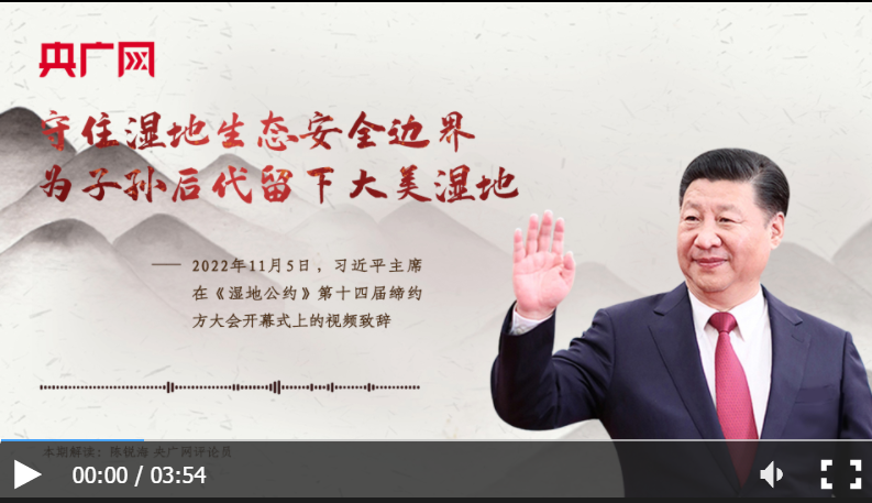 【每日一習話】守住濕地生態安全邊界 為子孫后代留下大美濕地